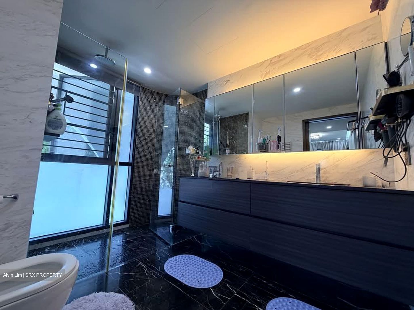Amber Skye (D15), Apartment #556468801